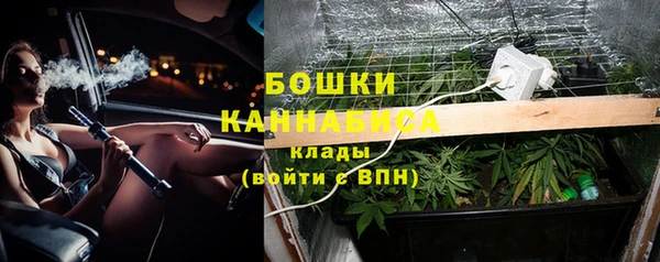 герыч Мегион
