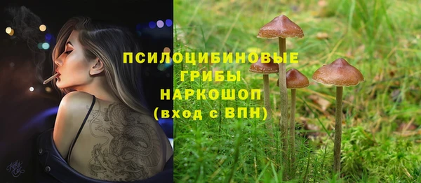 кокс Михайловск
