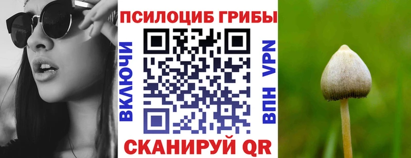мега   Козьмодемьянск  Псилоцибиновые грибы прущие грибы  наркота 
