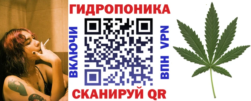 купить наркотик  Козьмодемьянск  Канабис сатива 